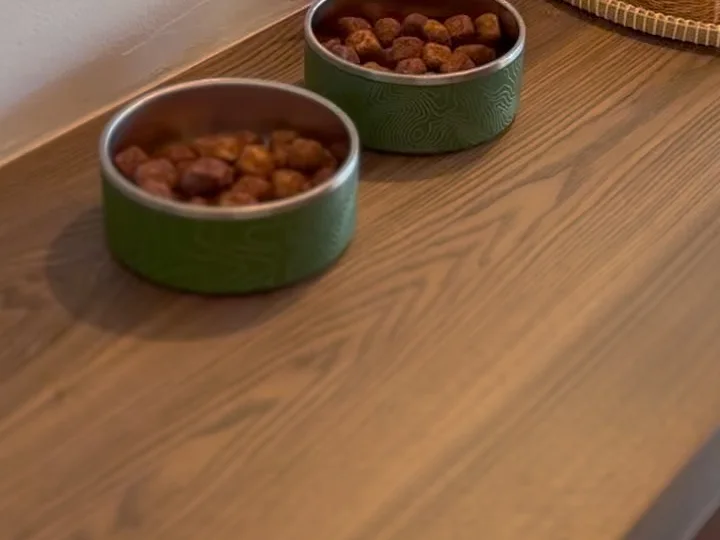 兩個裝著飼料的綠色狗碗放在木頭檯面上